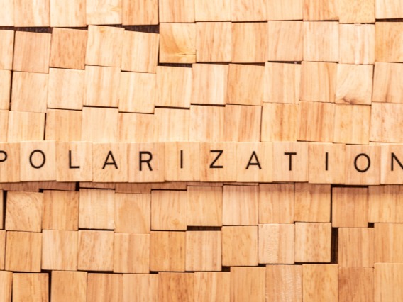 scrabble pieces that spell "polarization"